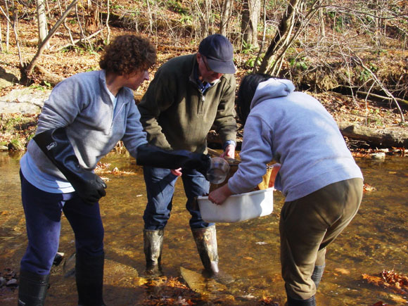 4 - Marianne Starr  Bill Coyle  and Ginny May empty the net